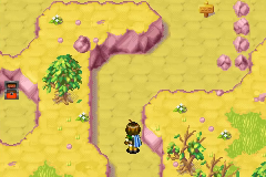 The sand-choked maze at the foot of Air’s Rock