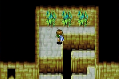The three bushes on the top wall of the first room