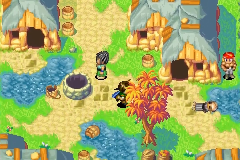 The village of Daila after the tidal wave