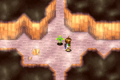A maze room with a plant in the middle