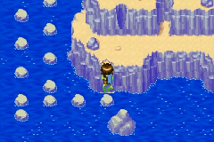 The vine leading down to the rocks in the sea
