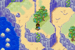 A raised ledge with a tree on the cliffs