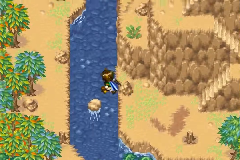 The rock in the middle of the river