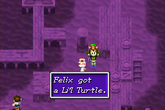 The dog on West Indra Islet hands over the Li’l Turtle