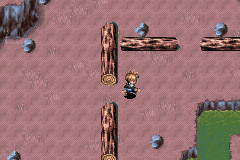 The logs and dam in the fifth cave