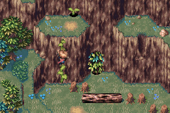 Climbing the vines on Crossbone Isle