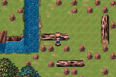 The Kolima Forest log puzzle partway through