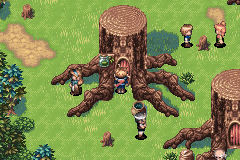 The tree houses of Kolima village