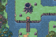 An ape hiding in a hollow tree on a bridge