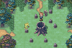 The entrance of Mogall Forest