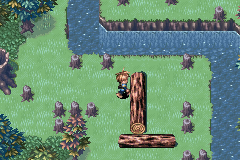 The first log puzzle in Mogall Forest