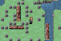 The four-log puzzle in Mogall Forest