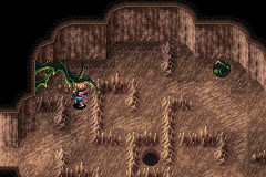 The first floor inside Tret Tree, with vines to climb
