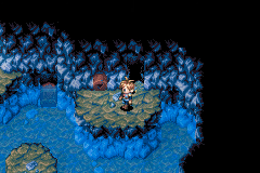 The switch that lowers the water in Vault Cave