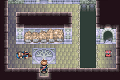 The room with the tree mural in Venus Lighthouse