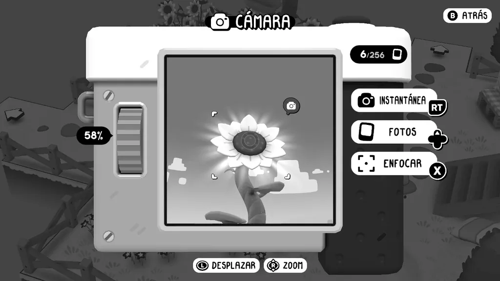 Camera view of the giant sunflower
